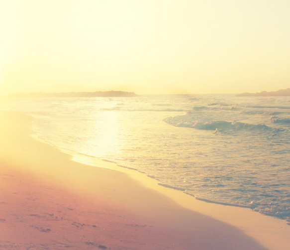 Alexandre teguise playa Durabilité grand teguise playa sostenibilidad